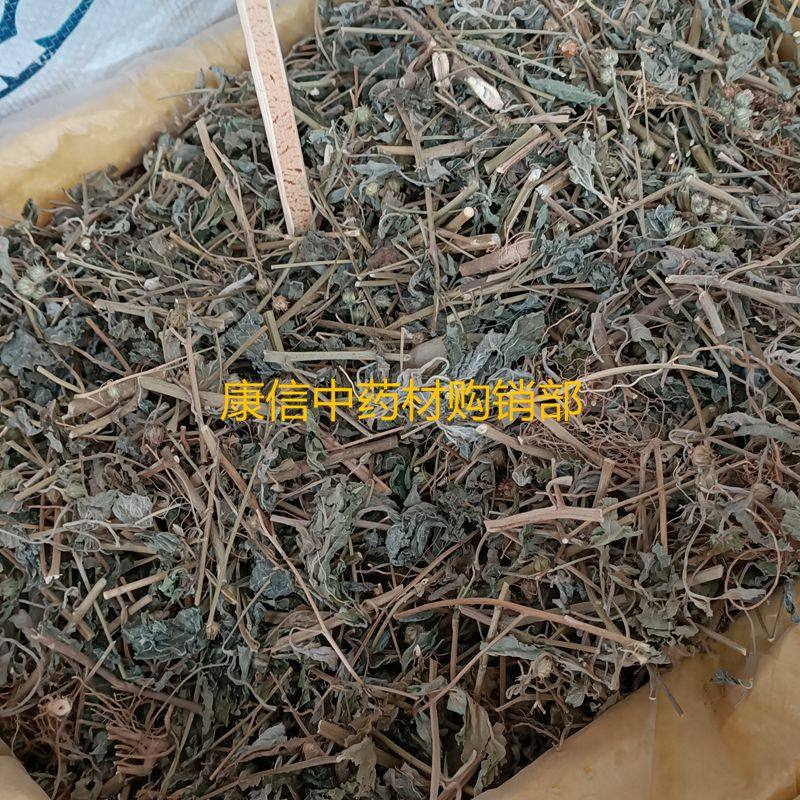 狗仔花 500克 咸虾花 狗仔菜 展叶斑鸠菊 地蜂里 鲫鱼草