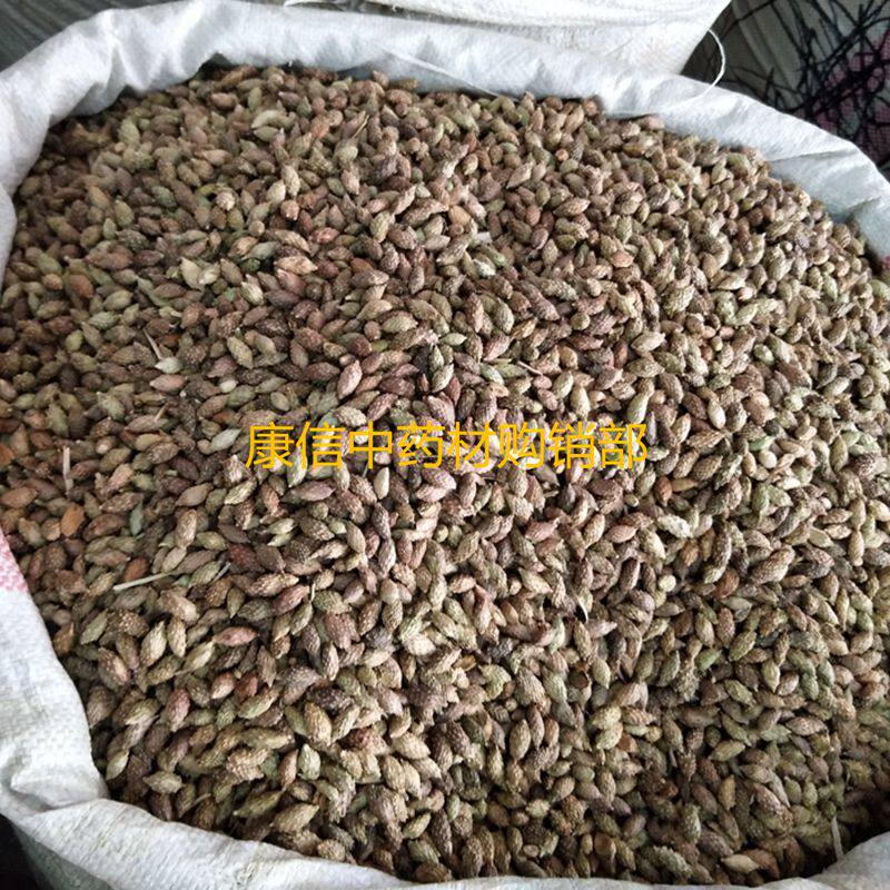 苍耳子 500克 苍 子 苔耳 老苍子 卷毛子 老籽