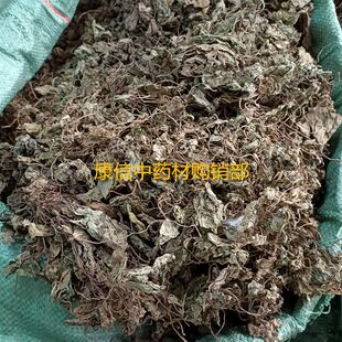 青天葵 500克 独脚天葵 猪乸耳 磨地沙 珍珠叶 半边伞1斤 包邮