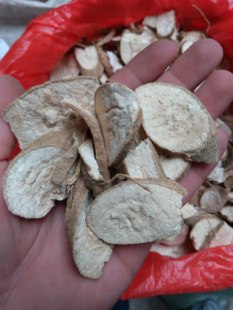玉郎伞 500g龙眼参 粉质大罗伞 木肚端 粉罗伞 山大刀 山大颜