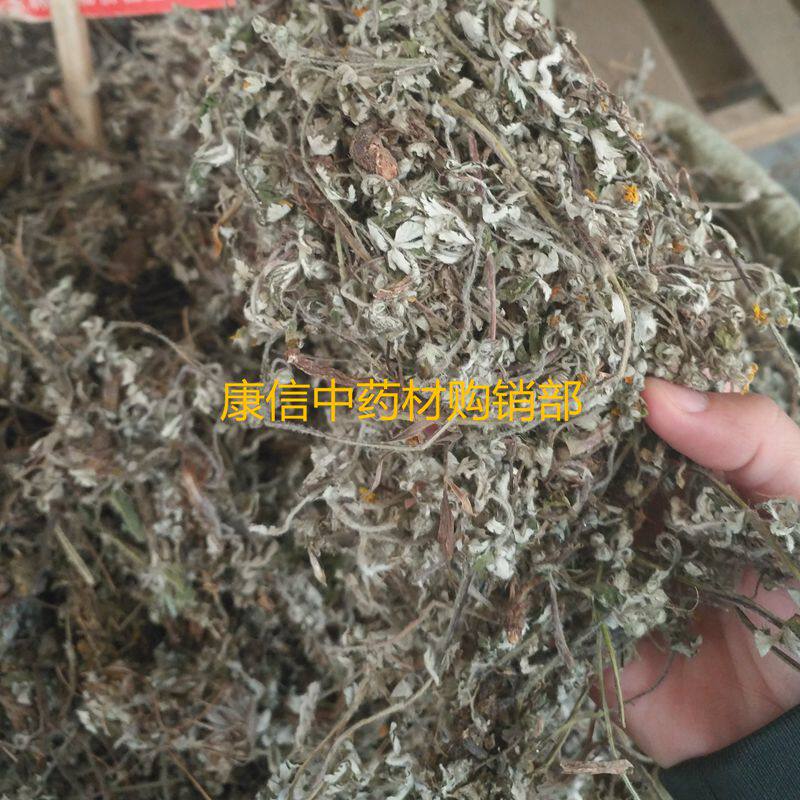 翻白草 500g茯苓草 鸭脚参 鸡脚爪黄花地丁 千锤打 天青地白