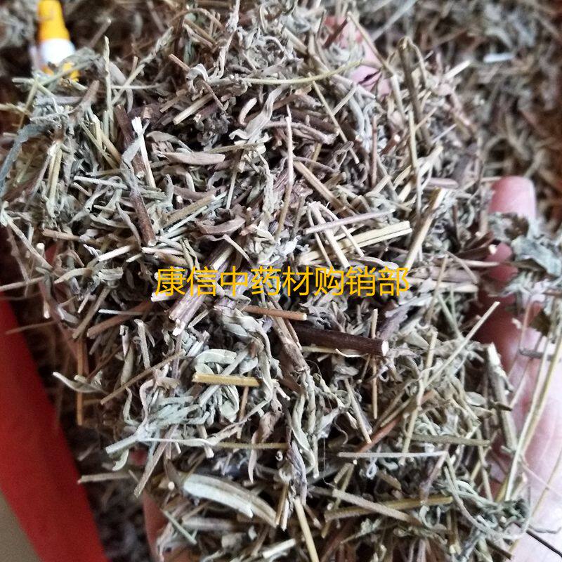 香薷草 500g香菜 香戎 香芋草 姜味草