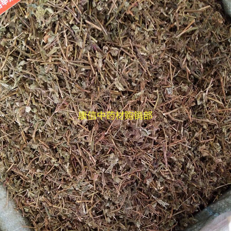 飞杨草白乳草大飞扬草中药材图片