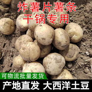 炸薯片专用土豆大西洋土豆白心甘肃当季新鲜洋芋干锅土豆片专用