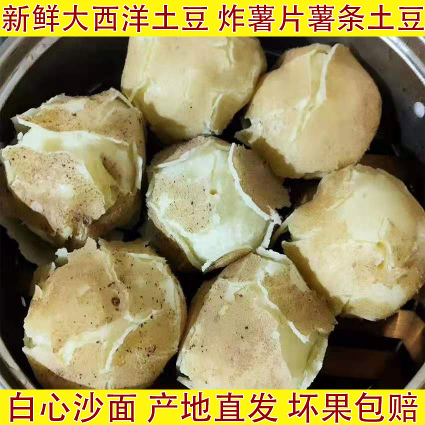 大西洋土豆新鲜白心沙面开花洋芋
