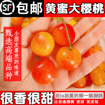 烟台黄蜜大樱桃3斤/山东水晶雷尼樱桃5新鲜小孕妇水果h黄金车厘子