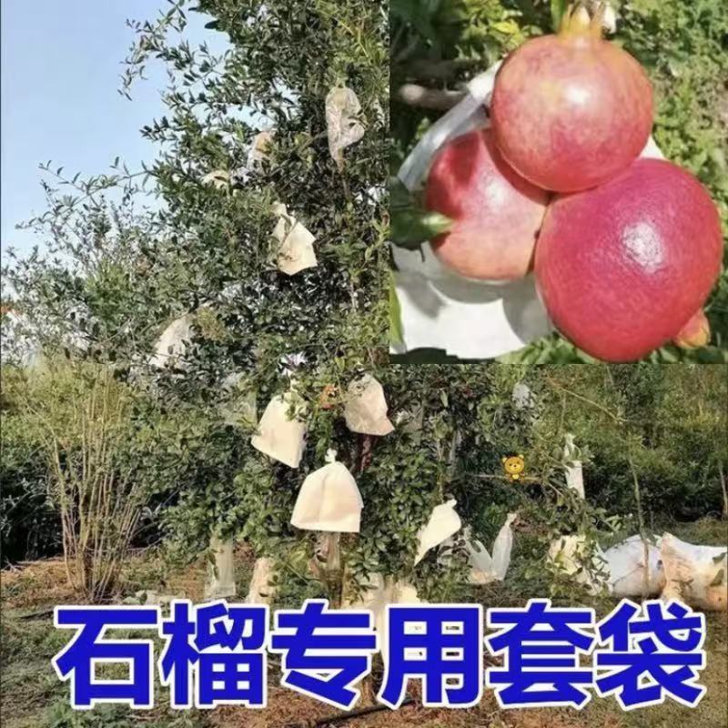 石榴专用套袋防鸟防水防晒防虫番石榴保护包软籽脐橙袋子纸袋果袋