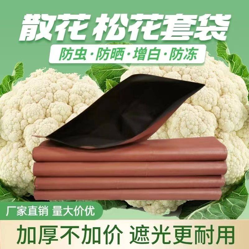 散花套袋专用双层防水防虫防晒防霜冻花菜纸袋子松花增白加厚套袋,农机/农具/农膜,水果套袋/果袋,淘宝优惠券,粉丝福利购,淘宝优惠卷
