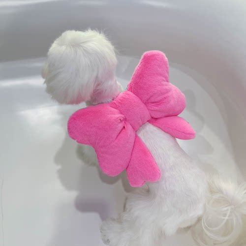 小型犬蝴蝶结猫咪自背包宠物背包