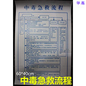 医务所 急救流程程序 化学品中毒急救流程手册 医用挂图 医院制度