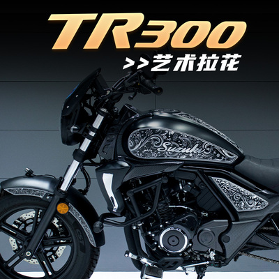 豪爵TR300油箱经典拉花