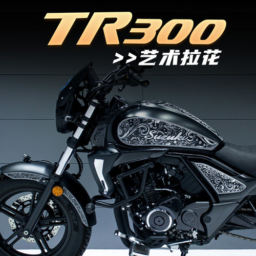 豪爵TR300油箱经典拉花