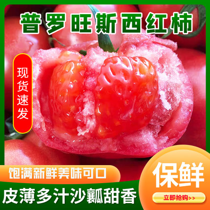 正宗沙瓤普罗旺斯西红柿山东新鲜水果番茄现摘洋柿子酸甜多汁 5斤