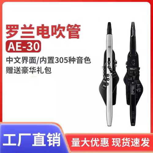 罗兰AE30电吹管乐器初学