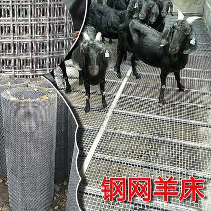 羊床钢丝网筛网养殖网钢丝羊床防护漏粪野猪养殖网