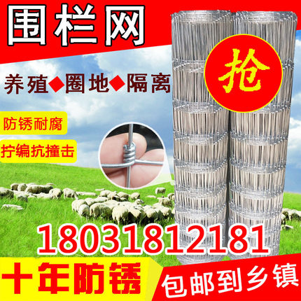 镀锌铁丝网围栏防锈牛栏网养殖牛羊隔离护栏户外防护网果园围栏网