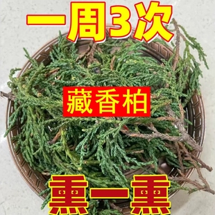 正宗西藏藏香柏枝叶新鲜采摘家用浓香型煨桑烟净宅养水晶养文玩