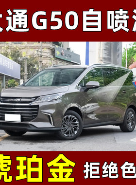 大通MAXUS G50补漆笔琥珀金汽车划痕修复自喷漆灰色手喷漆金棕色