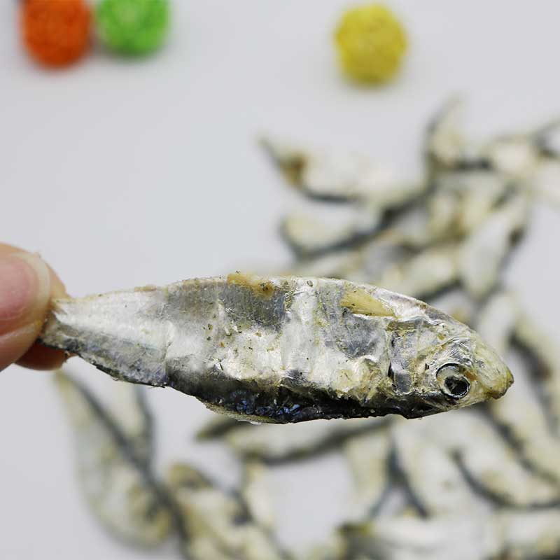 韩式汤底用小鱼干海鲜干货