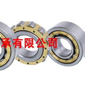 无外圈圆柱滚子轴承RN305M 306 307 308 309 310 311 312 313EM