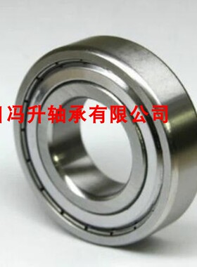 进口不锈钢轴承S6000 S6001 S6002 S6003 S6004 S6005-2Z/P5