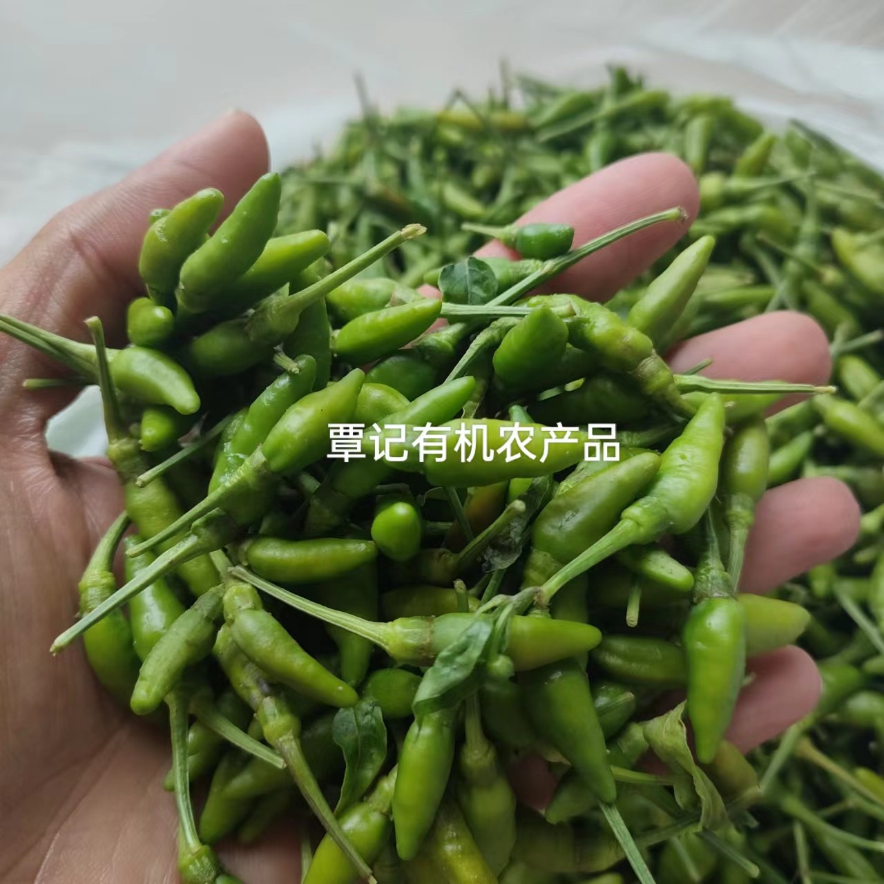 新鲜（青辣椒）正宗海南本地小米椒 小辣椒特香辣 非朝天椒 现摘