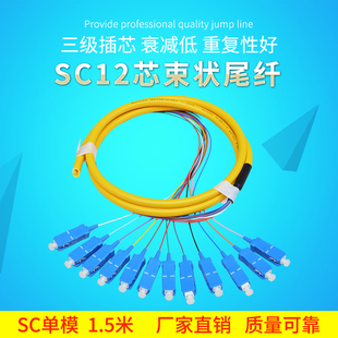 锐闪 12芯 SC 1.5M 12芯单模束状尾纤 光纤尾纤 电信级