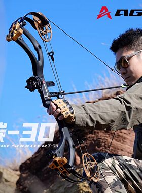 AGS碳30复合弓高精度大威力