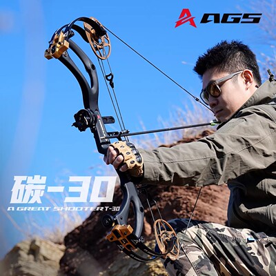 碳30复合弓碳素弓高精度AGS射手弓成年人射箭碳马赫马修斯狩猎pse