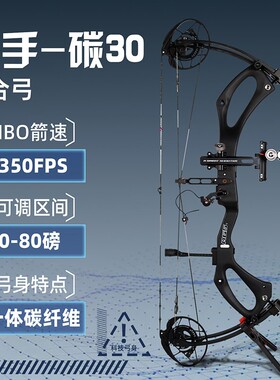 碳30复合弓碳素弓高精度AGS射手弓成年人射箭碳马赫马修斯狩猎pse
