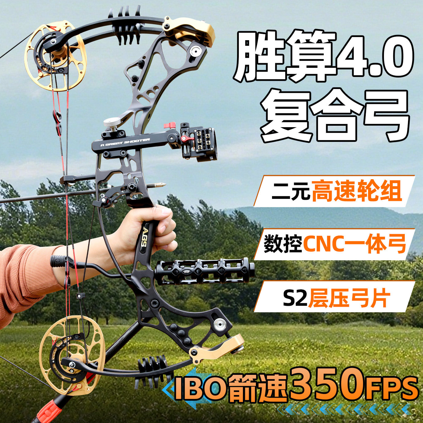 AGS胜算4.0复合弓成年人户外专业级射箭射击高精度滑轮正品精准弓