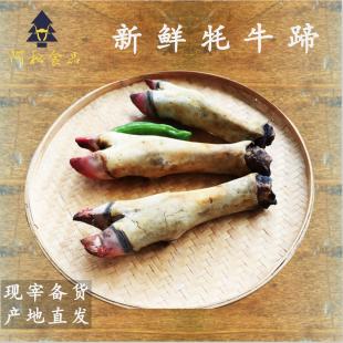 正宗阿坝州散养半散养牦牛蹄子牛蹄牛脚牛腿新鲜牦牛肉清真