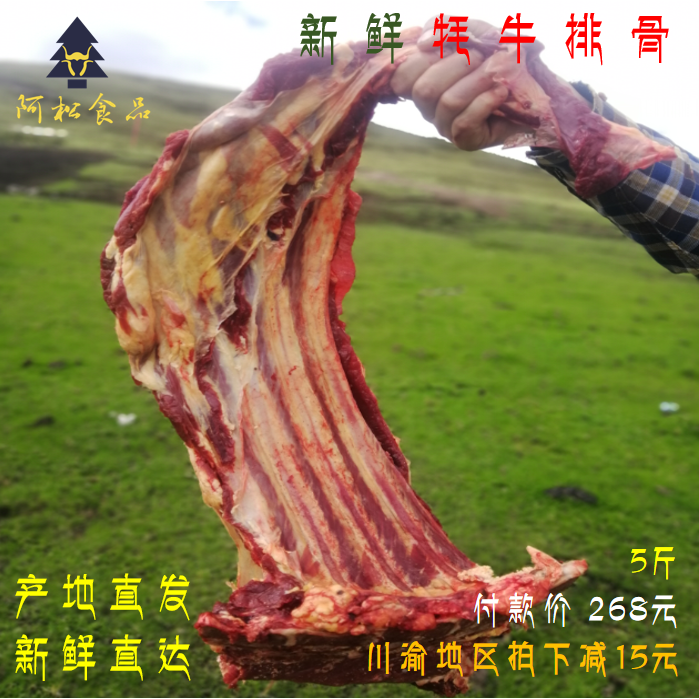 正宗阿坝新鲜牦牛排骨肋排脊排散养牦牛肉生牛肉清真5斤(肉多)
