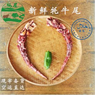 阿松食品阿坝州新鲜牦牛尾巴精品牛尾3斤现宰清真包锯短牦屋