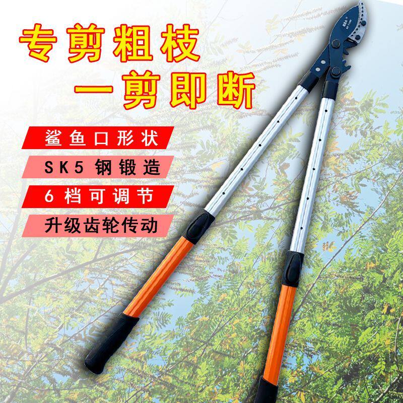 粗枝剪枝剪刀果树修枝专用树枝剪园林修剪强力修大力粗枝大枝省力图片