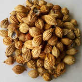 砂仁香料香沙仁小春砂仁粒店有草果良姜豆蔻大料调料大全500g 包邮