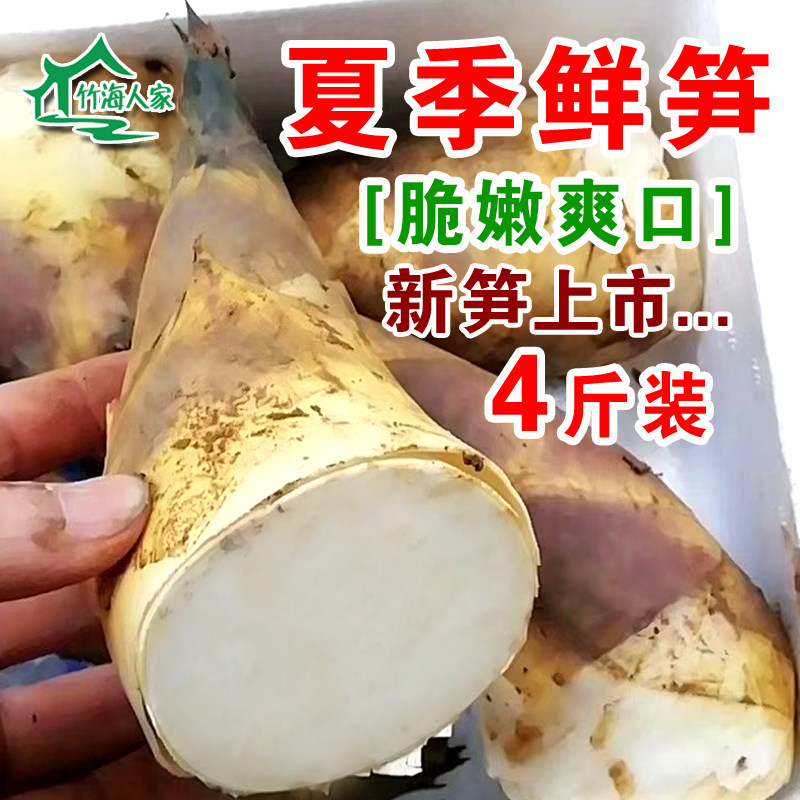 2026当季鲜笋夏季新鲜竹笋现挖台湾马蹄笋甜笋嫩脆带壳新鲜笋代发