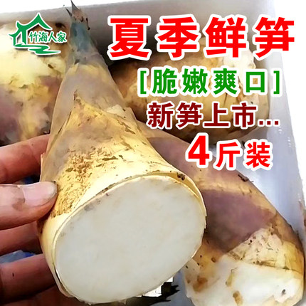 2026当季鲜笋夏季新鲜竹笋现挖台湾马蹄笋甜笋嫩脆带壳新鲜笋代发
