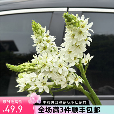 小众花材圣心百合花期长