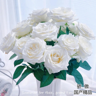 精品国产花材鲜花全国速递家庭水培养花鲜切花骄傲白玫瑰花10支