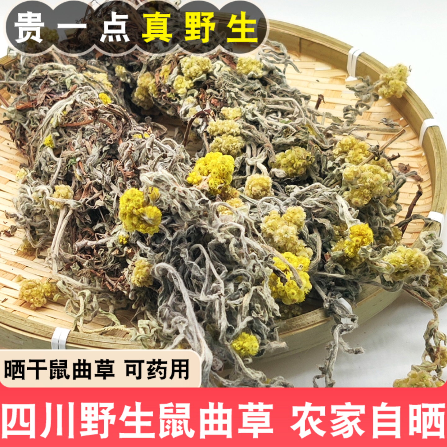 观纯晒干鼠曲草全草四川清明草干清明菜整棵带花可药用中草药材