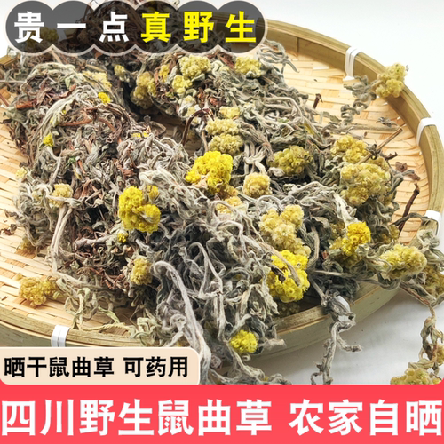 观纯晒干鼠曲草全草四川清明草干清明菜整棵带花可药用中草药材