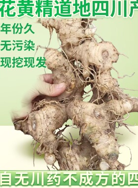 四川道地现挖黄精白姜多花姜形黄精不倒苗可炖汤泡茶可九制包邮