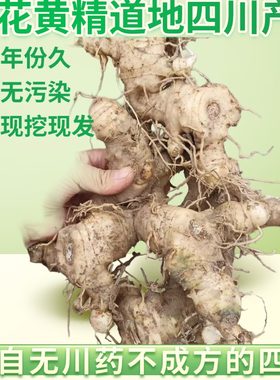 四川产地现挖姜形黄精可炖汤可制