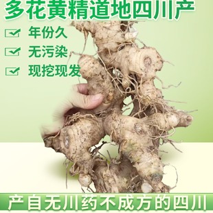 四川道地现挖黄精白姜多花姜形黄精不倒苗可炖汤泡茶可九制包邮