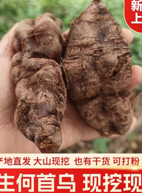 现挖野生新鲜何首乌有干货
