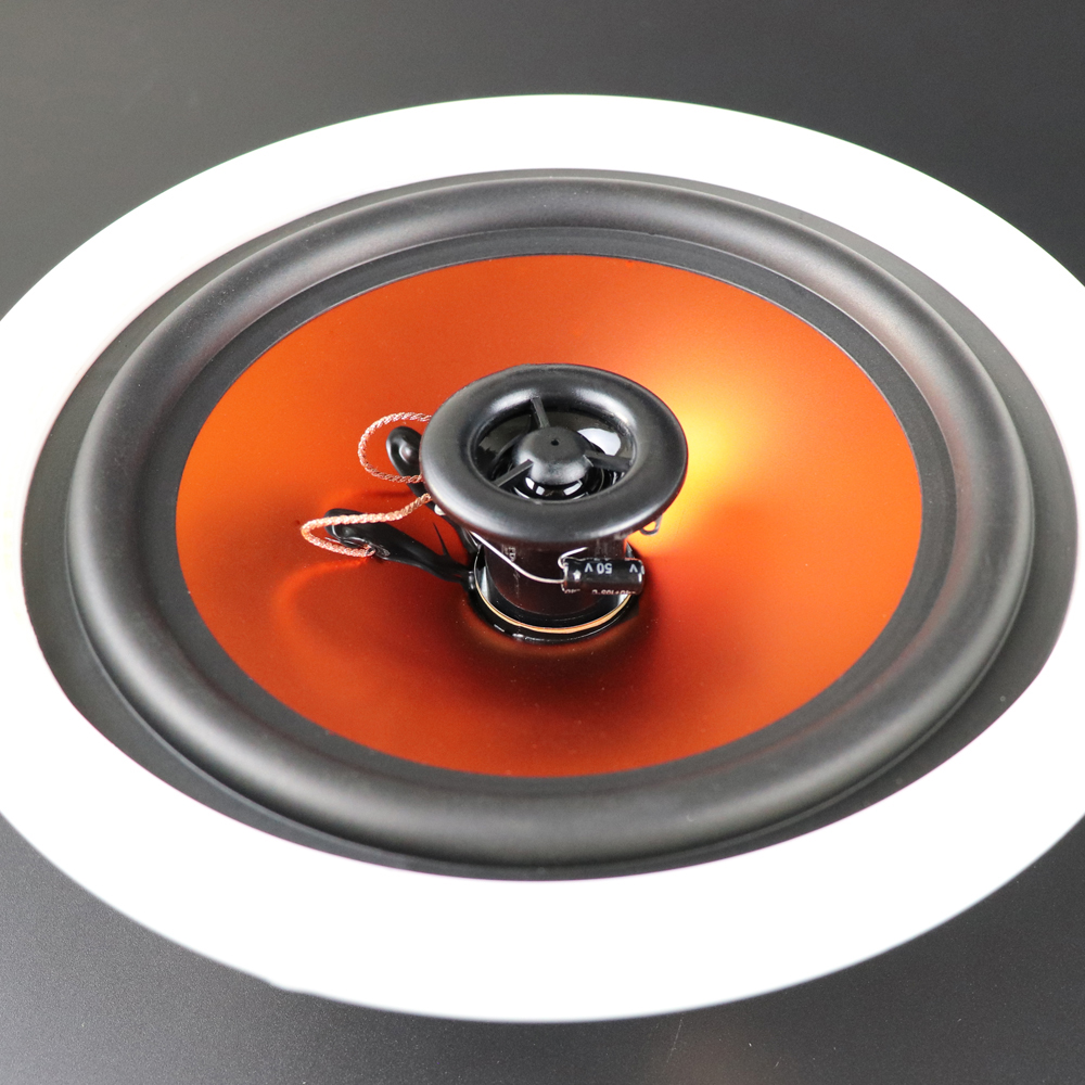 DM-585店铺装修20W喇叭5.1环绕立体声同轴定阻8Ω吸顶天花喇叭