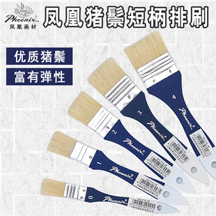 凤凰排刷 猪鬃毛短杆板刷 水彩油画丙烯画笔底纹刷排笔套装平头刷