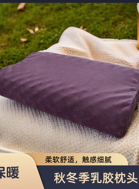 冬季牛奶绒乳胶枕套成人60x40x35x58儿童50x30记忆棉枕头套一对装