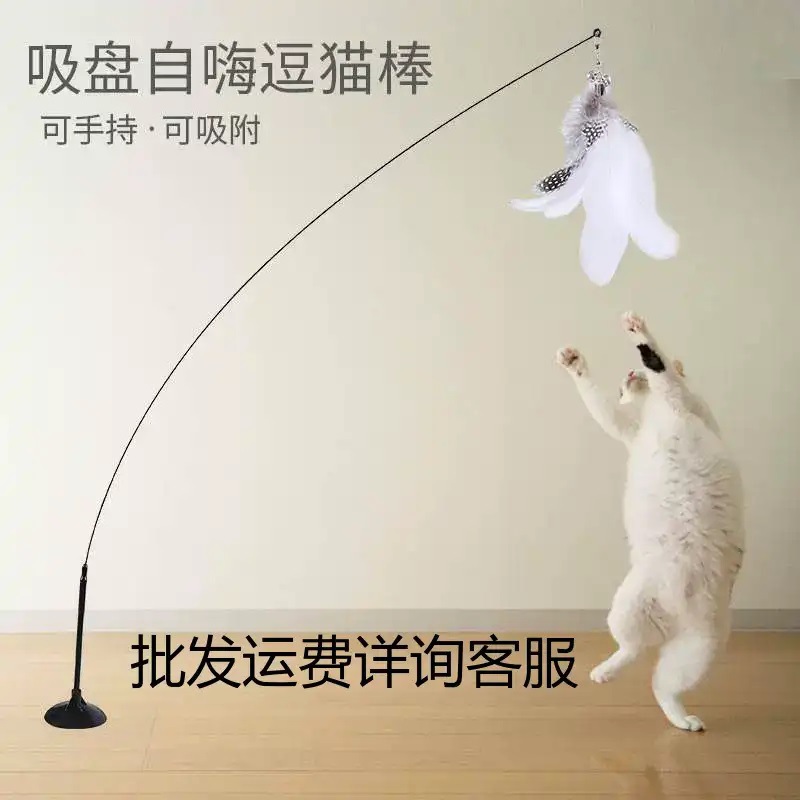 萌爪日记宠物智能玩具新款宠物